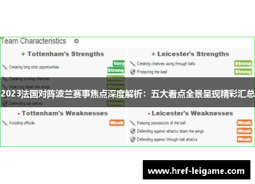2023法国对阵波兰赛事焦点深度解析:五大看点全景呈现精彩汇总 2023法国对阵波兰赛事焦点深度解析:五大看点全景呈现精彩汇总