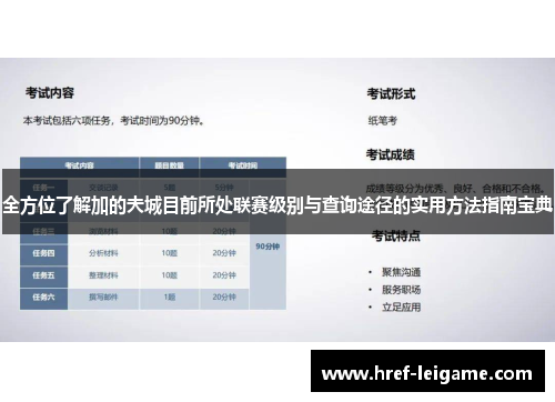 全方位了解加的夫城目前所处联赛级别与查询途径的实用方法指南宝典