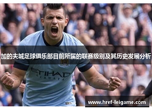 加的夫城足球俱乐部目前所属的联赛级别及其历史发展分析