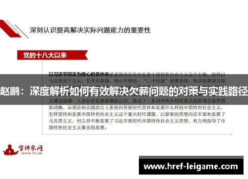 赵鹏：深度解析如何有效解决欠薪问题的对策与实践路径